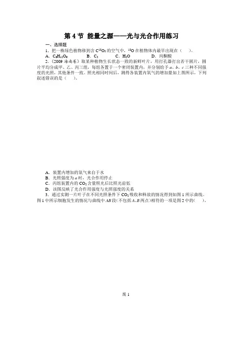 人教课标生物必修1《能量之源——光与光合作用》课后训练