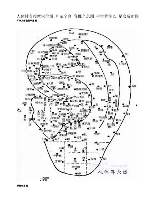 人体针灸按摩穴位图 耳朵全息 脊椎全息图 手掌背掌心 足底反射图