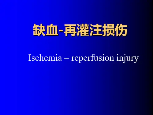 病理生理学课件:缺血-再灌