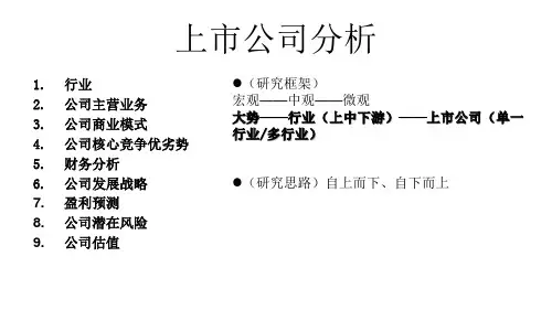 上市公司分析