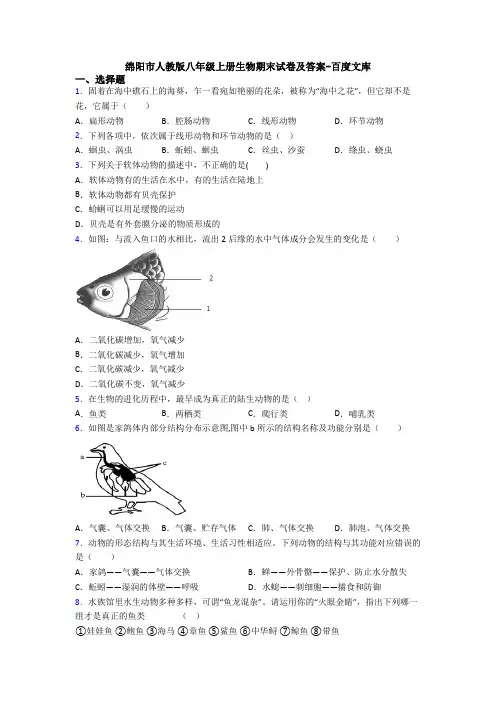 绵阳市人教版八年级上册生物期末试卷及答案-百度文库