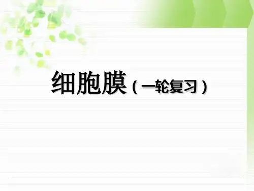 细胞膜和生物膜的流动镶嵌模型一轮复习 ppt课件