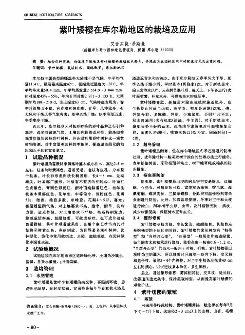 紫叶矮樱在库尔勒地区的栽培及应用
