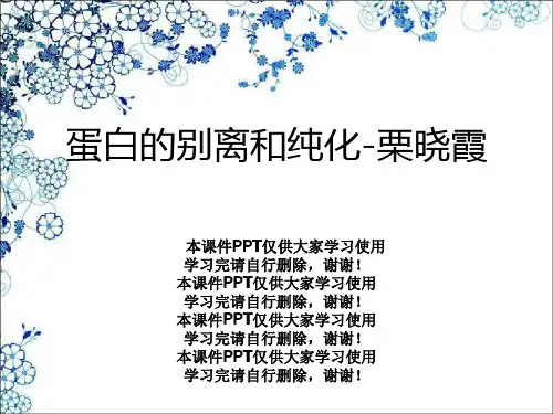 蛋白的分离和纯化-栗晓霞