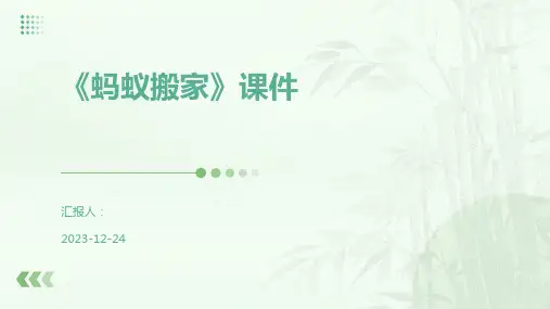 《蚂蚁搬家》课件