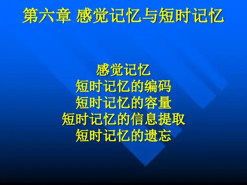 6第六章 感觉记忆与 短时记忆