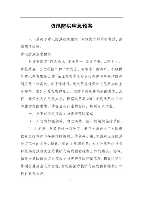 防汛防洪应急预案