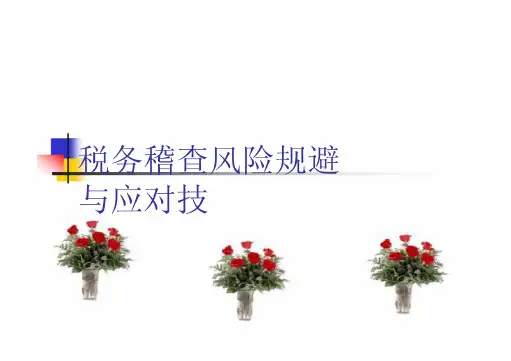 税务稽查方法与应对技巧