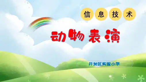 动物表演