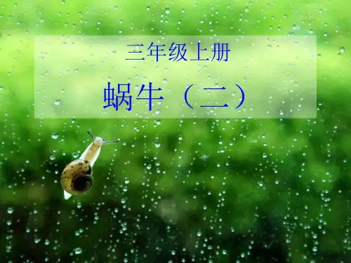 科学三年级上册《蜗牛二》-教科版精品PPT课件