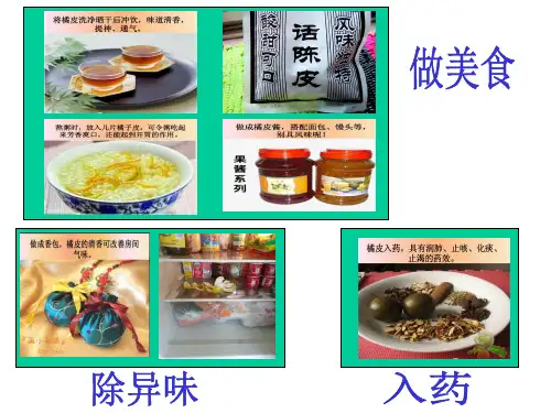 有用的橘子皮