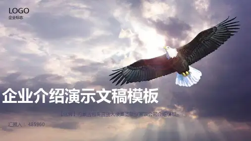 【优秀】内蒙古包头百货大楼集团股份有限公司介绍模板