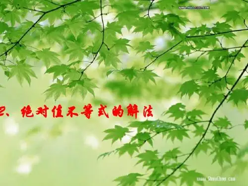选修4-5  2绝对值不等式的解法