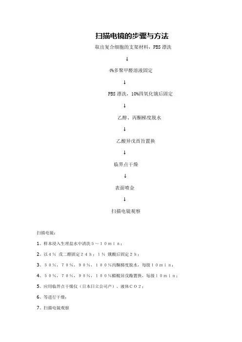 sem扫描步骤