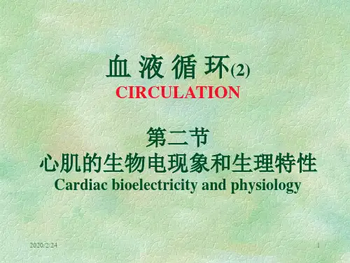 循环系统2心肌电
