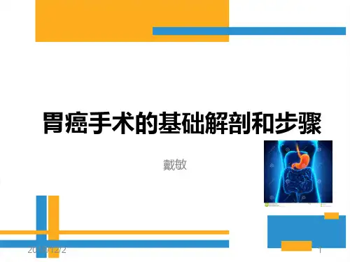 胃癌解剖基础PPT课件