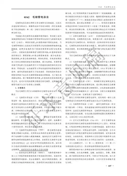毛细管电泳法