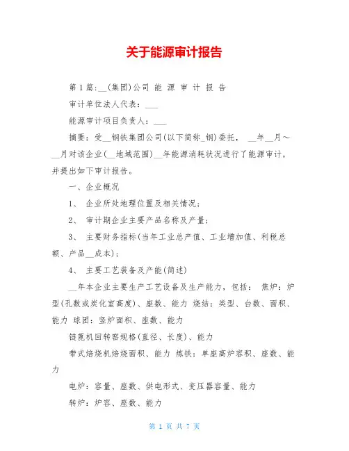 关于能源审计报告