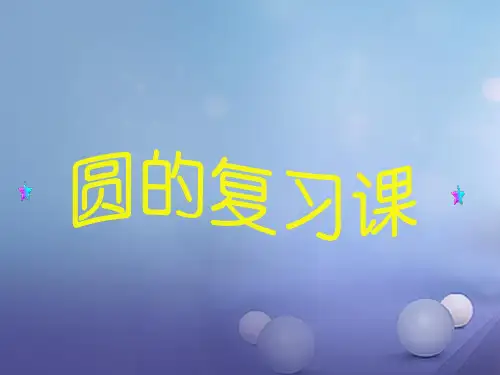 2020年中考数学专题复习 圆课件
