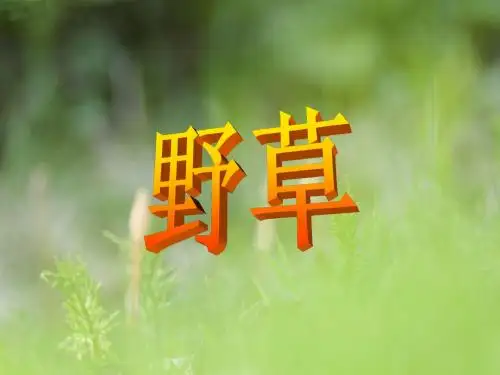 北师大版六年级语文上册《野草_》PPT课件