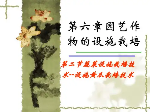 《设施黄瓜栽培技术》PPT课件
