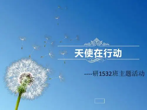 天使在行动剖析