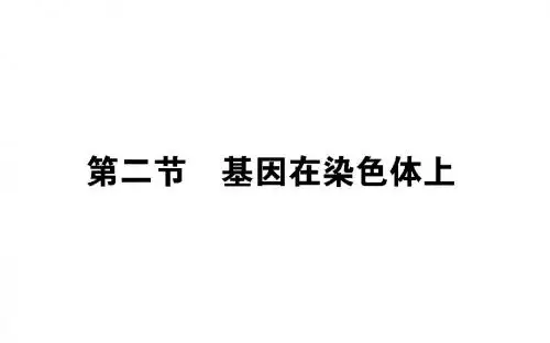 2018届 一轮复习 人教版 基因在染色体上 课件
