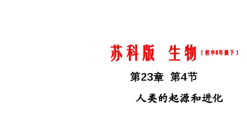 23.4 人类的起源和进化(课件)-八年级下册生物(苏科版)