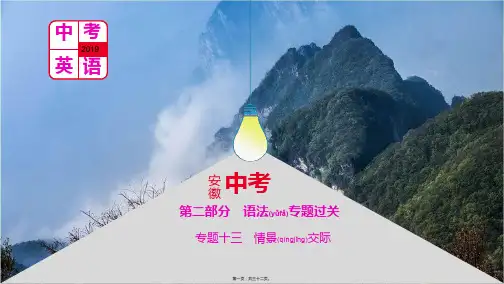 中考英语总复习 第二部分 语法专题过关 专题十三 情景交际课件