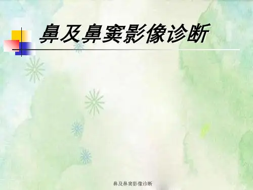 鼻及鼻窦影像诊断
