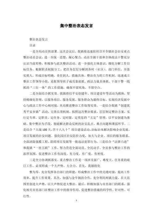 集中整治表态发言
