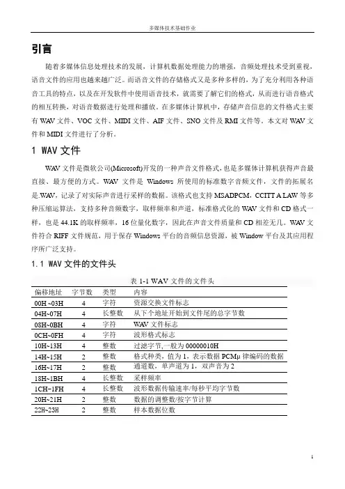 多媒体文件格式分析