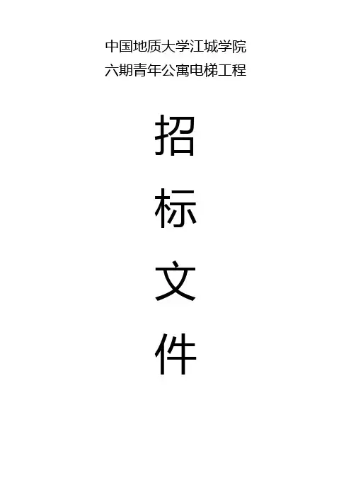 电梯招标文件