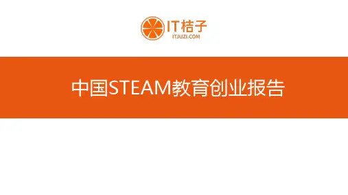 中国STEAM教育创业报告