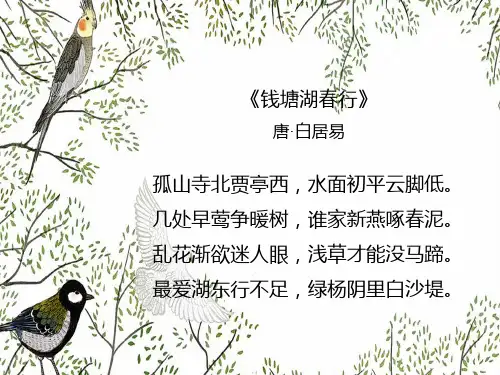 济南版八年级生物上册鸟的生殖和发育