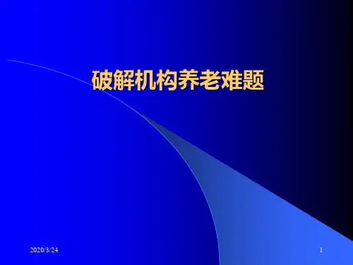养老难题的分析破解PPT课件