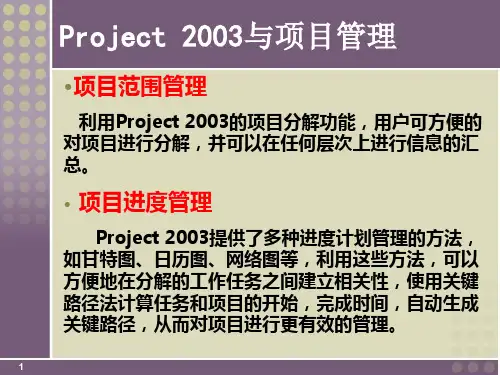 项目管理软件project2003