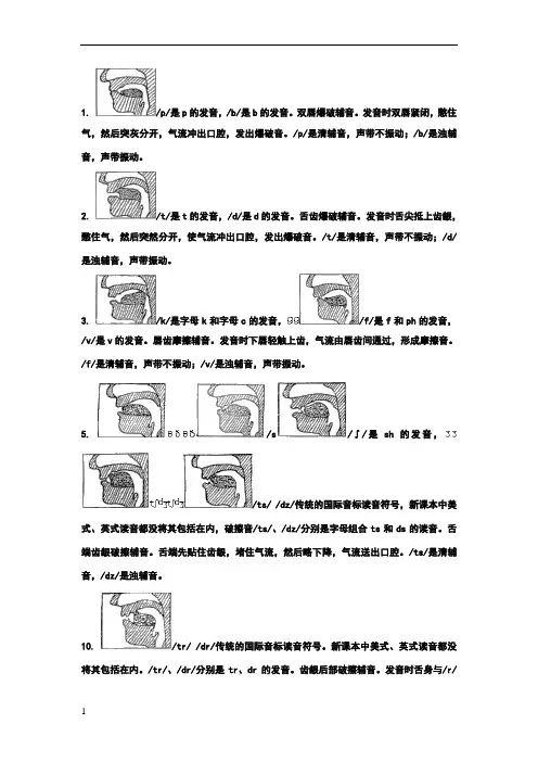 国际音标发音方法与舌位图