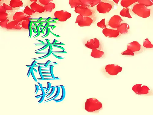 厥类植物