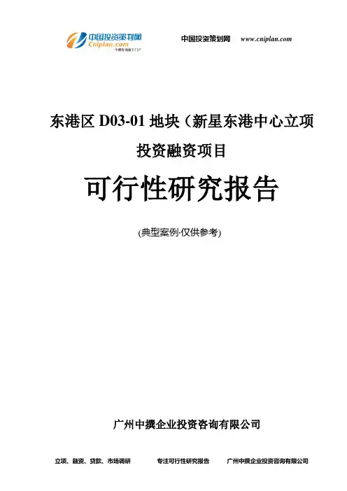东港区D03-01地块(新星东港中心融资投资立项项目可行性研究报告(中撰咨询)