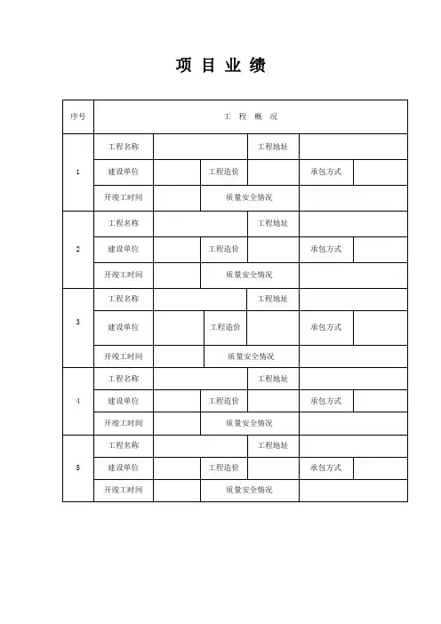 工程项目业绩表