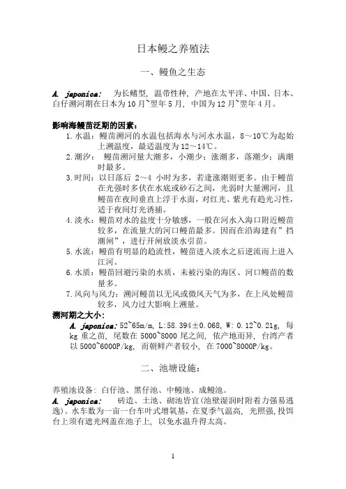 鳗鱼