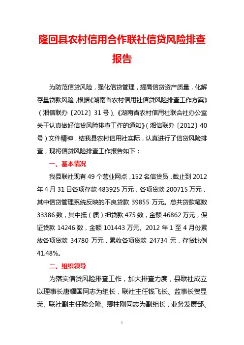 贷款风险排查报告