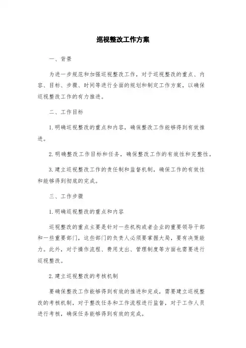 巡视整改工作方案