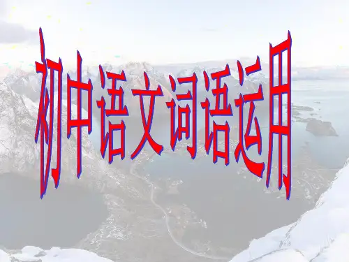 初中词语运用专题复习
