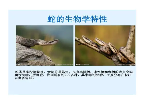 蛇生物学特性16页PPT