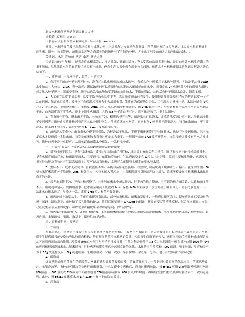 北方水稻秧苗期常遇问题及解决方法