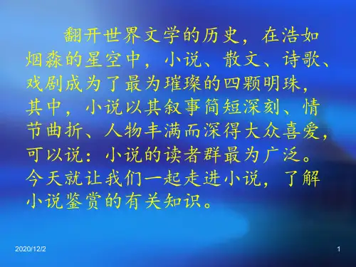初中小说阅读 ppt课件