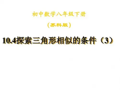 苏教版八下10.4探索三角形相似的条件(3)
