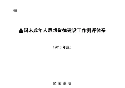 2013年未成年人测评体系内容